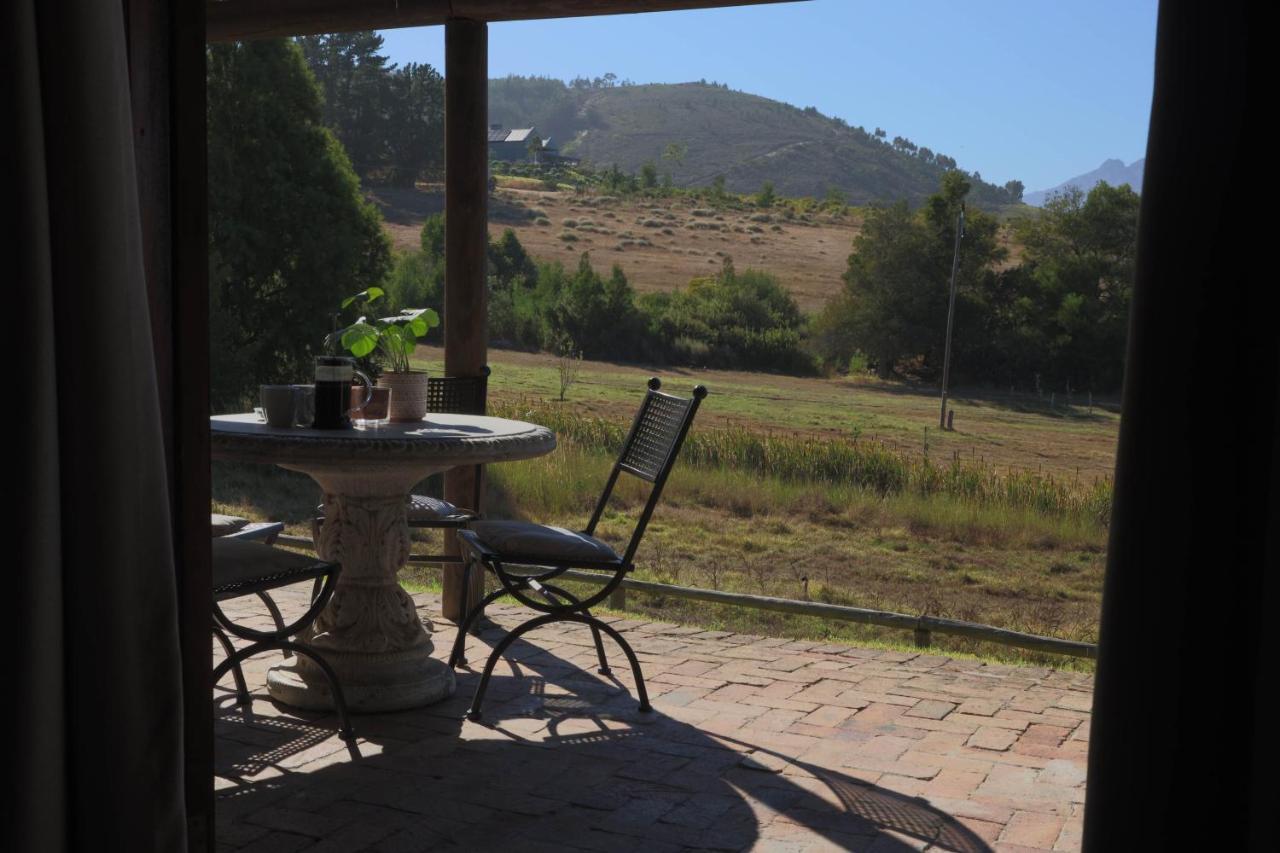 Zebra Cottage And Lodge Stellenbosch Extérieur photo