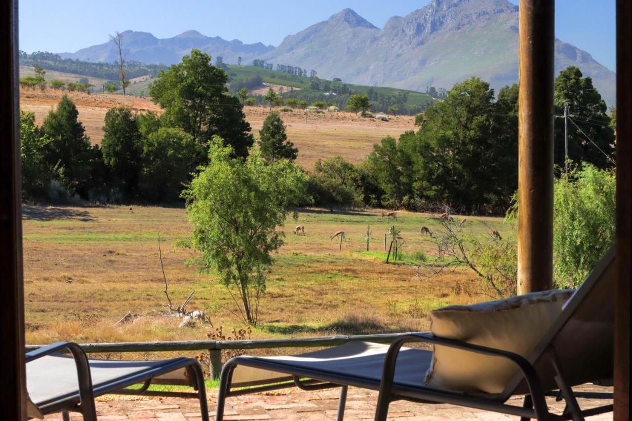 Zebra Cottage And Lodge Stellenbosch Extérieur photo